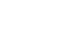Homzy Icon Chairs – Homzy