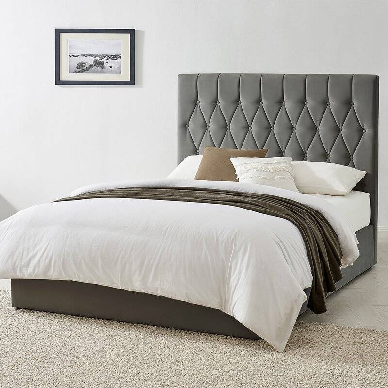 Johnny Bed