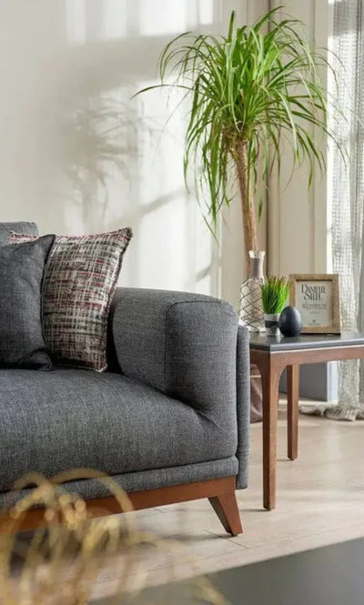 Kamran Living Room Set - Homzy